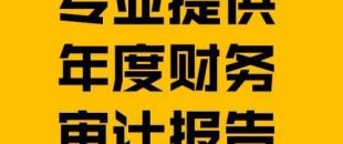 財務(wù)報表審計報告的費用是多少？